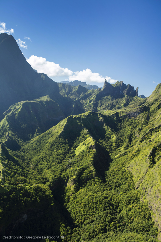 Tahiti