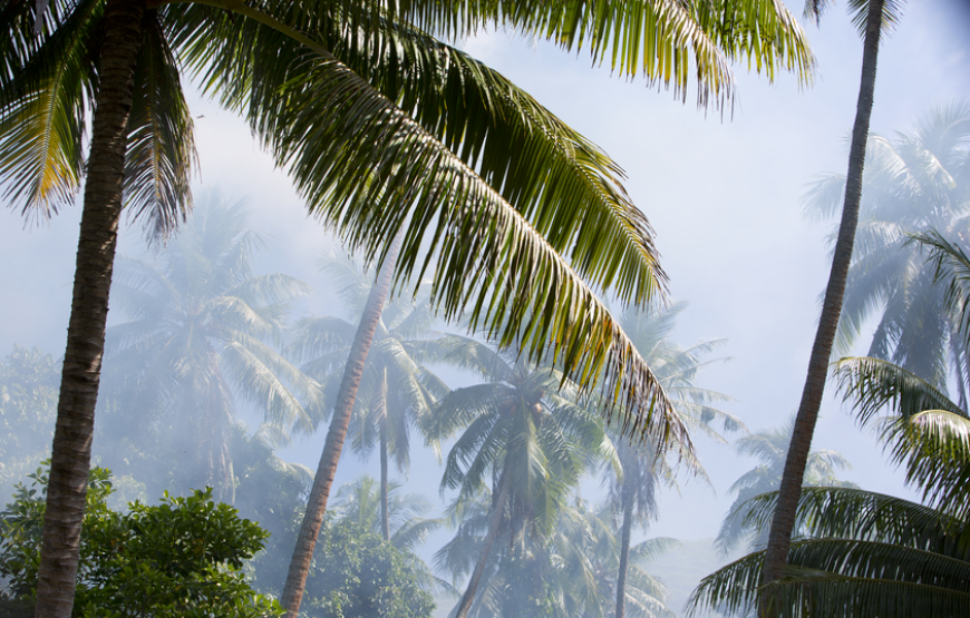 Raiatea : Nature Escape 4J/3N