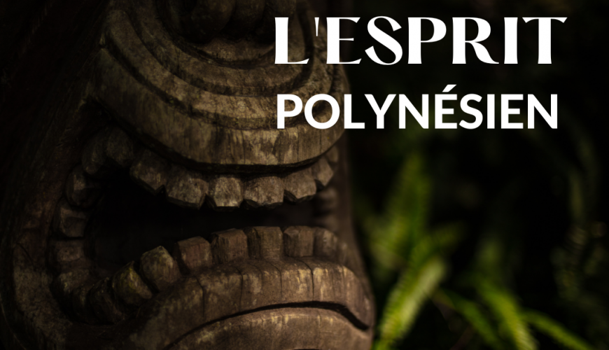 Créateurs d'expériences et d'aventures en Polynésie !