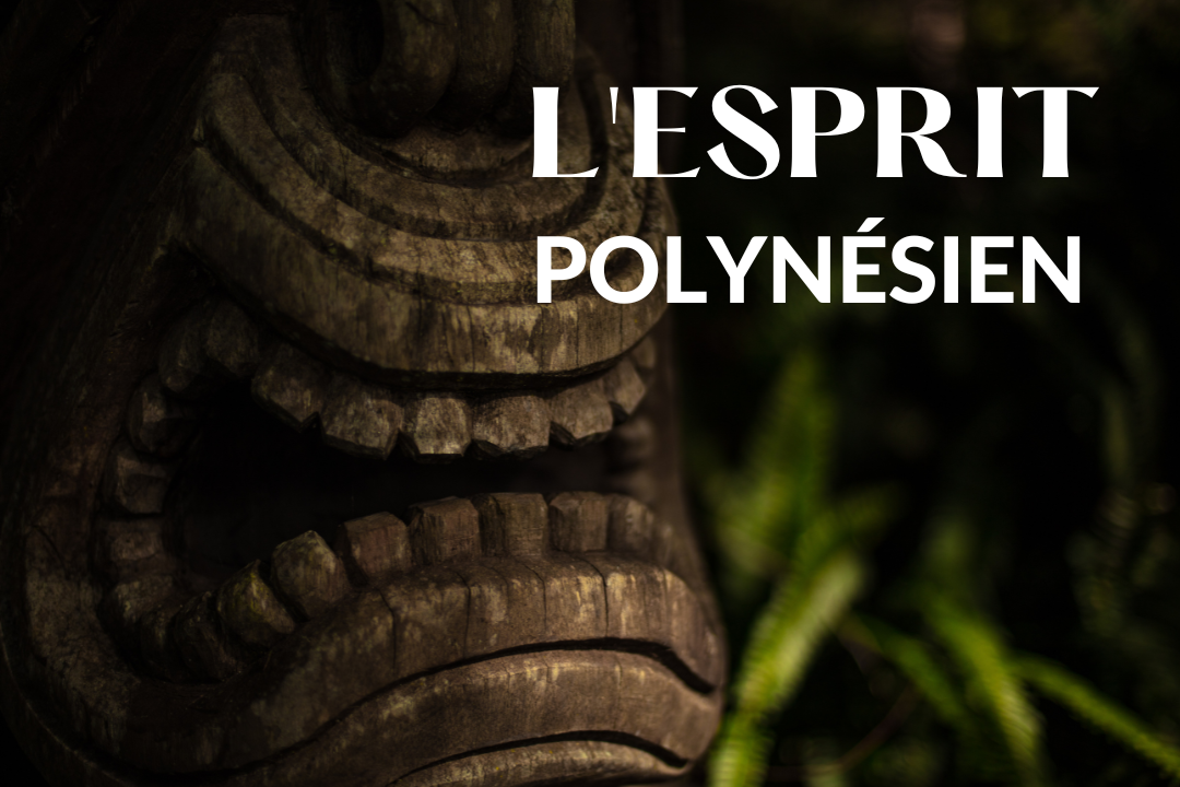 Créateurs d'expériences et d'aventures en Polynésie !