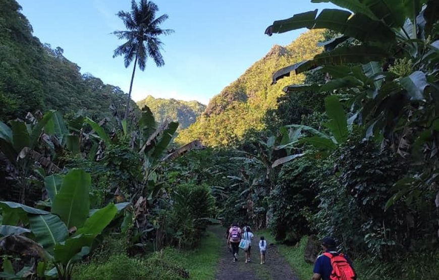 Sortie Montagne Tahiti/Moorea