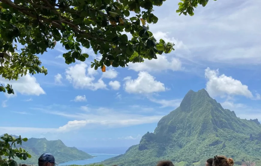 Safari 4×4 à Moorea