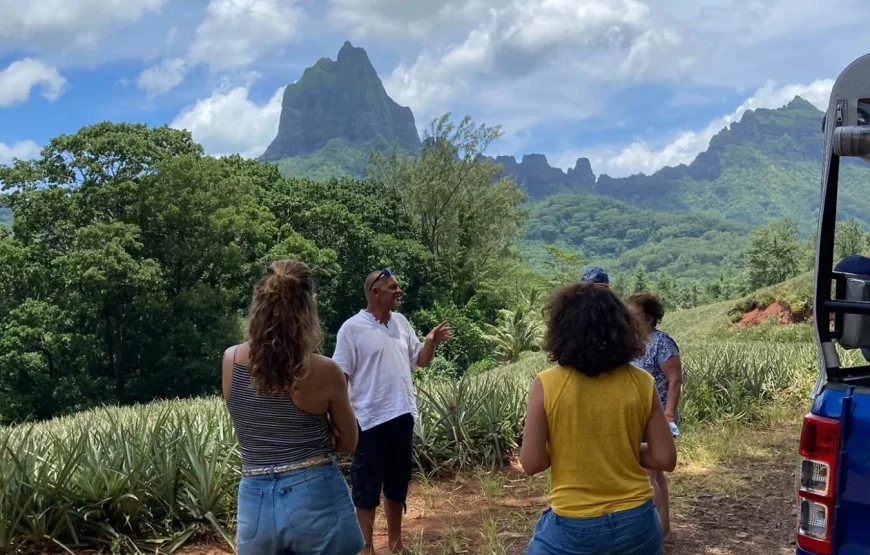 Safari 4×4 à Moorea