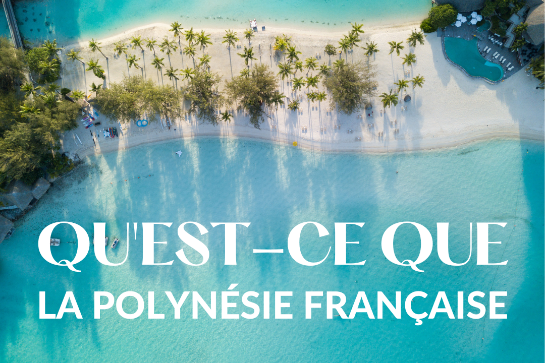 Créateurs d'expériences et d'aventures en Polynésie !