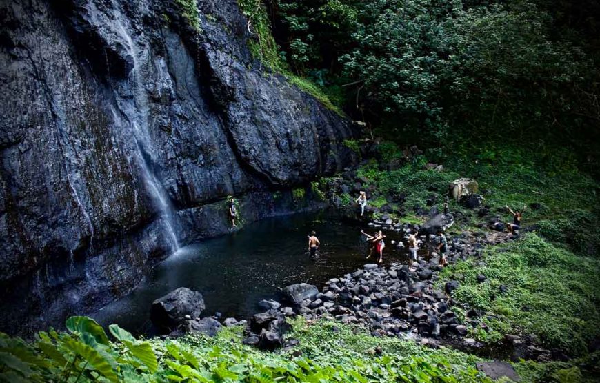 Randonnée Privée à Moorea