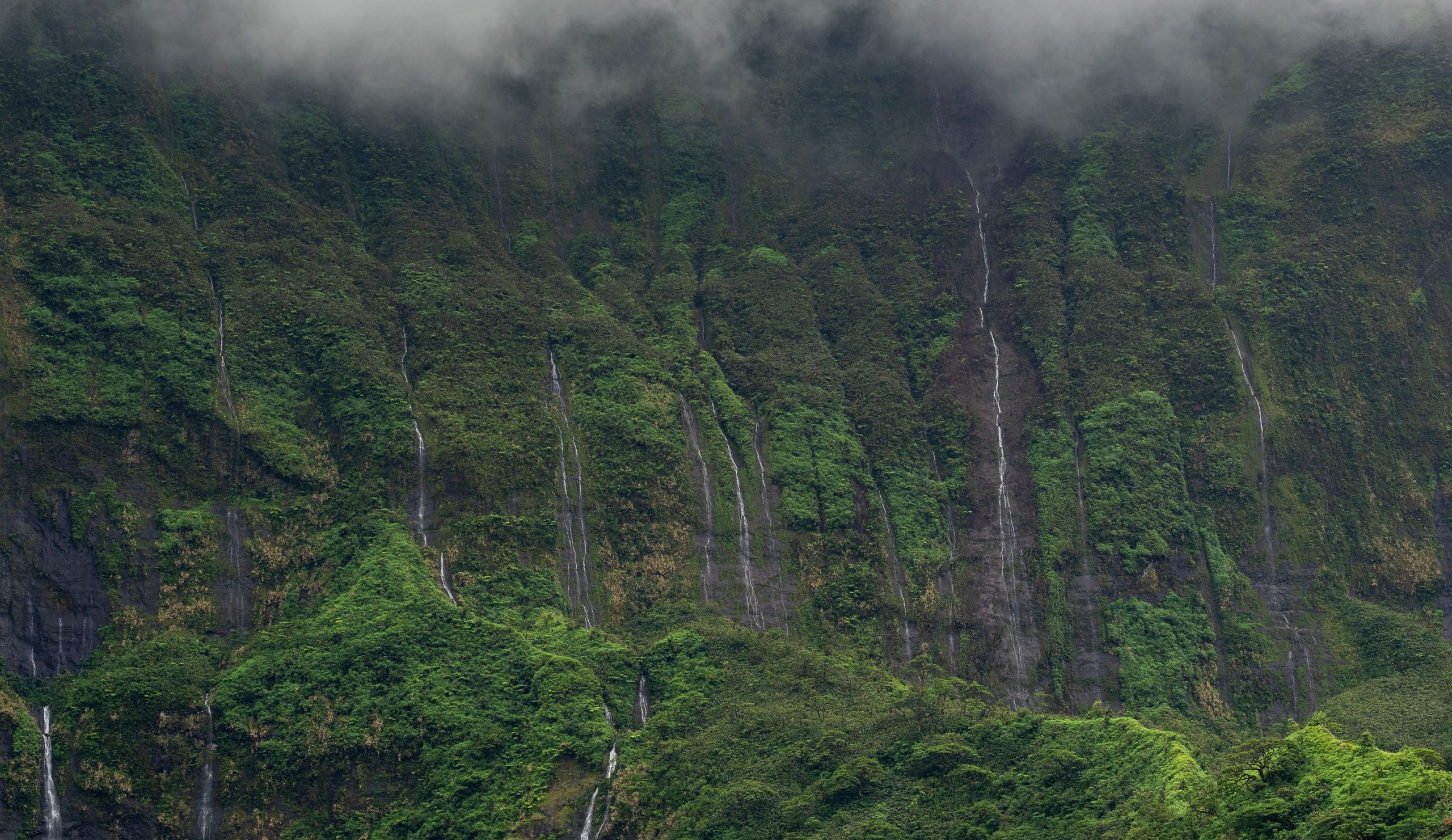 justin-hu-Y0Vaj15OE5s-unsplash justin-hu-Y0Vaj15OE5s-unsplash