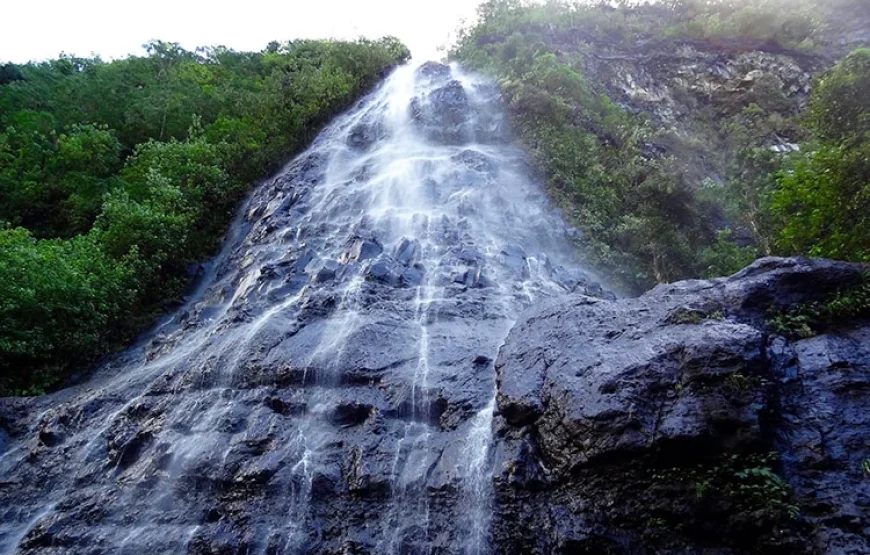Randonnée Privée à Moorea