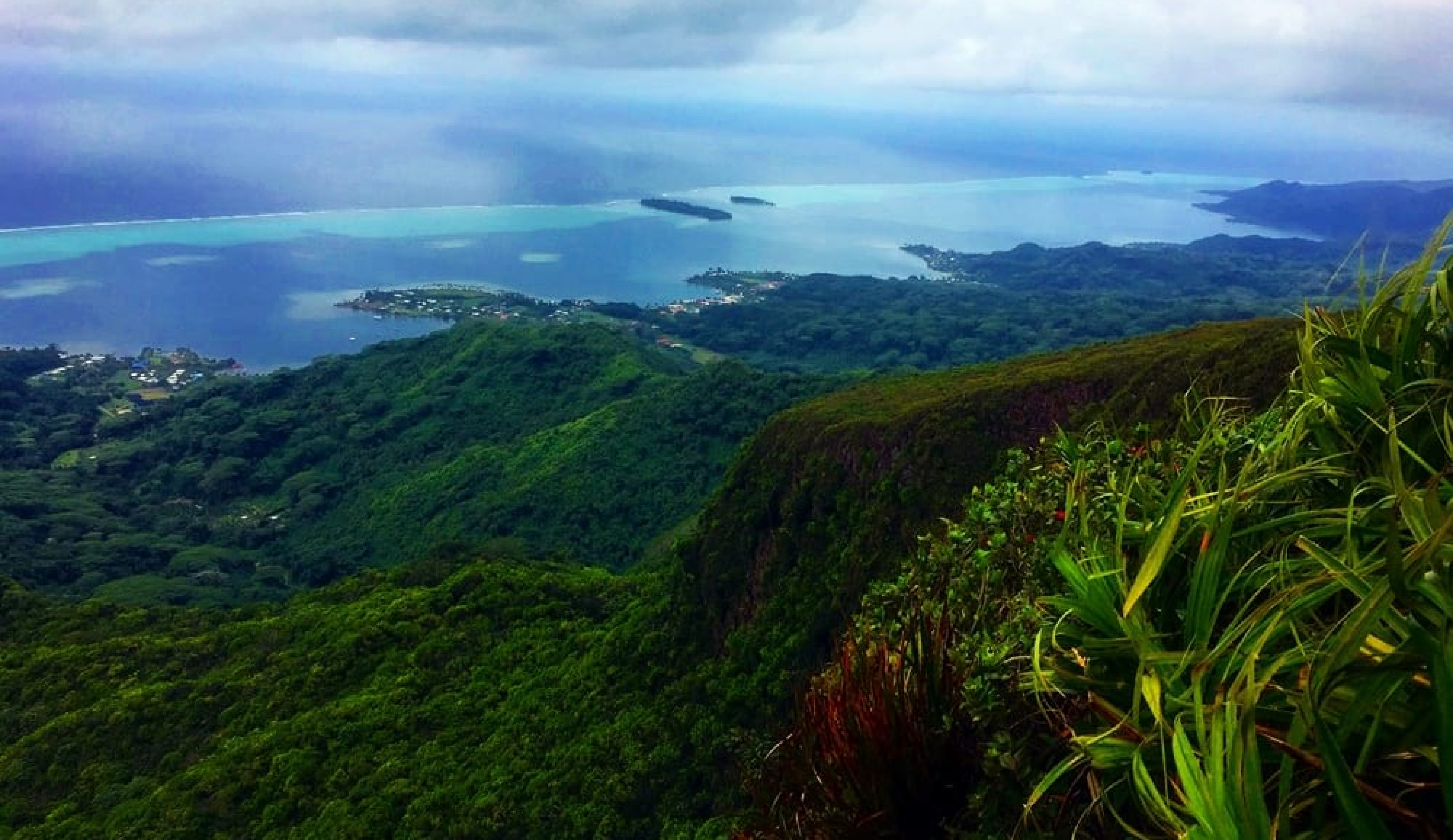 raiatea_mont_temehani_vue_falaise raiatea_mont_temehani_vue_falaise