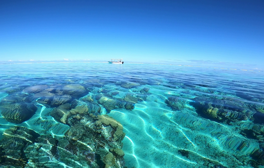 Sortie snorkeling