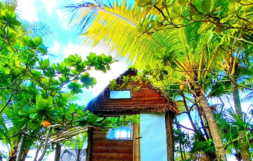 Beach House