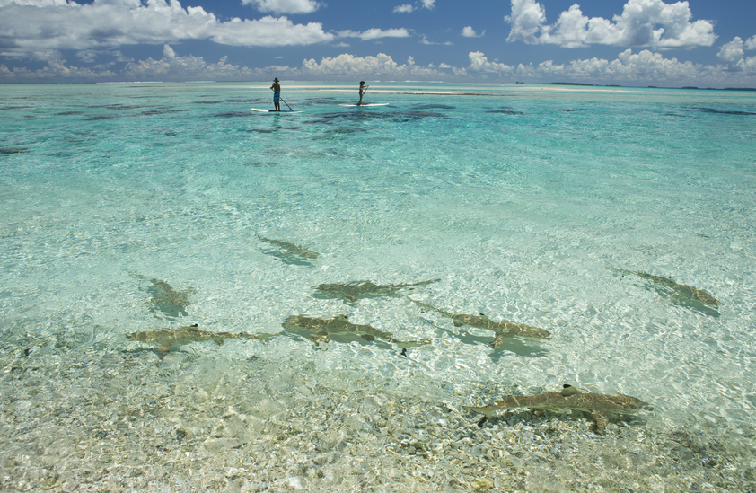 Tikehau