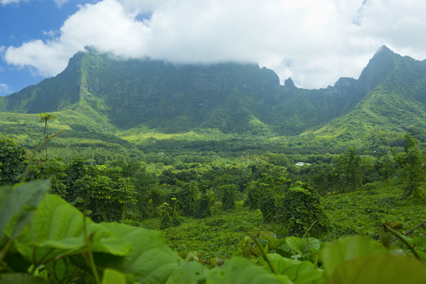 Raiatea