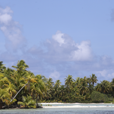 Les Tuamotus