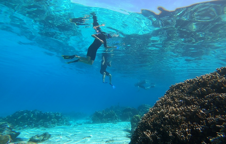 Sortie snorkeling