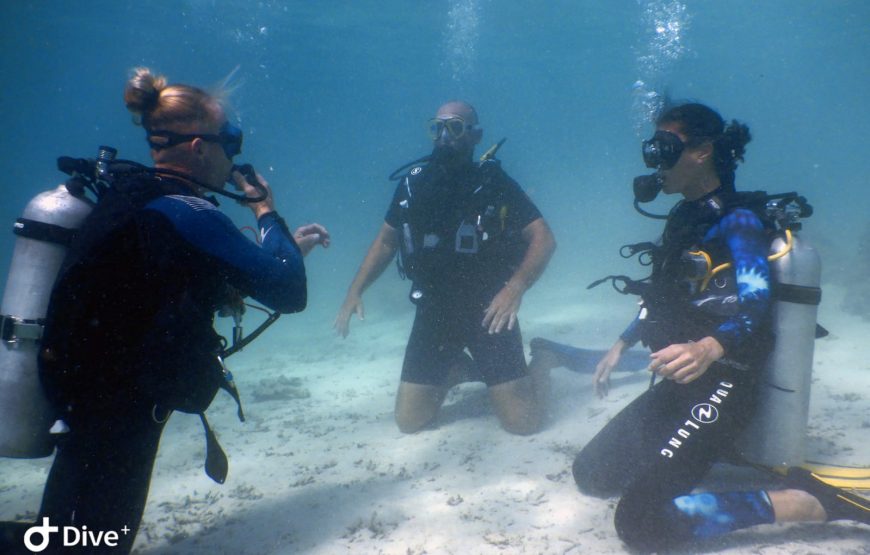 Moorea Fun Dive