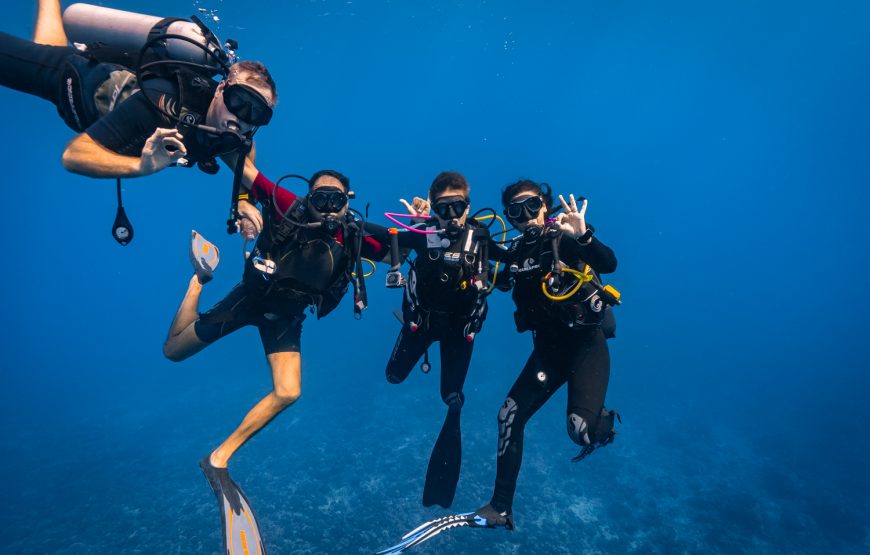 Moorea Fun Dive
