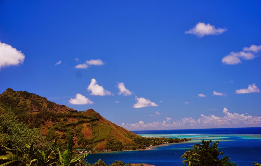 Moorea Tropical Garden