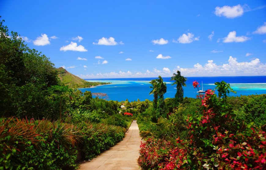 Moorea Tropical Garden