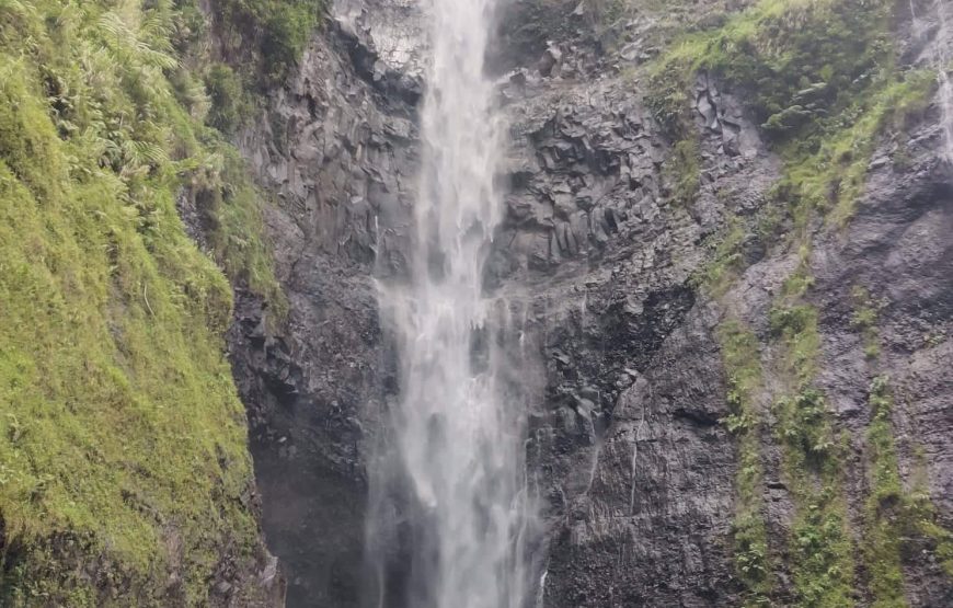 Jeff Adventure Tahiti