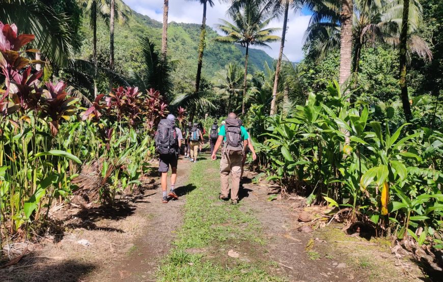 Jeff Adventure Tahiti