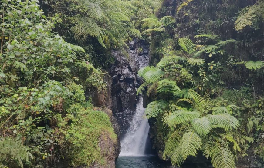 Jeff Adventure Tahiti