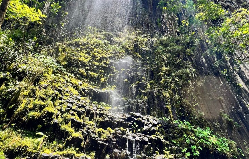Jeff Adventure Tahiti
