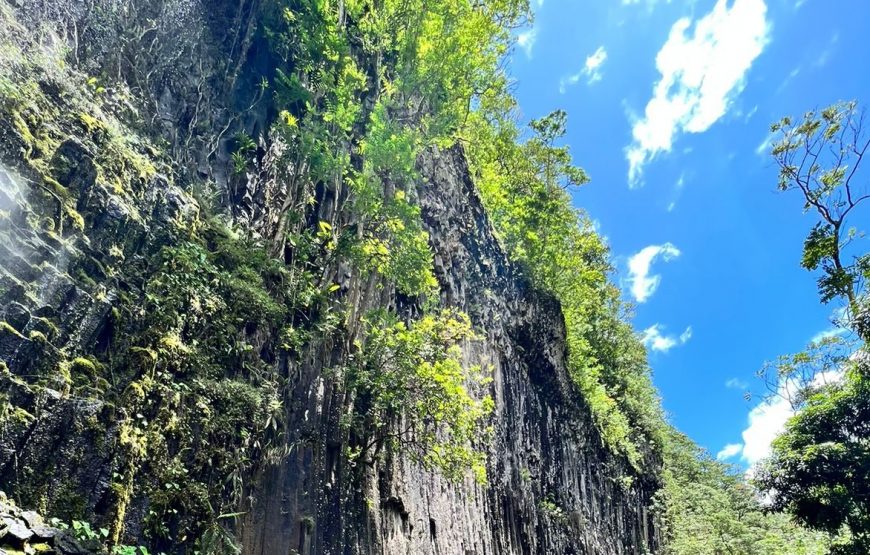 Jeff Adventure Tahiti