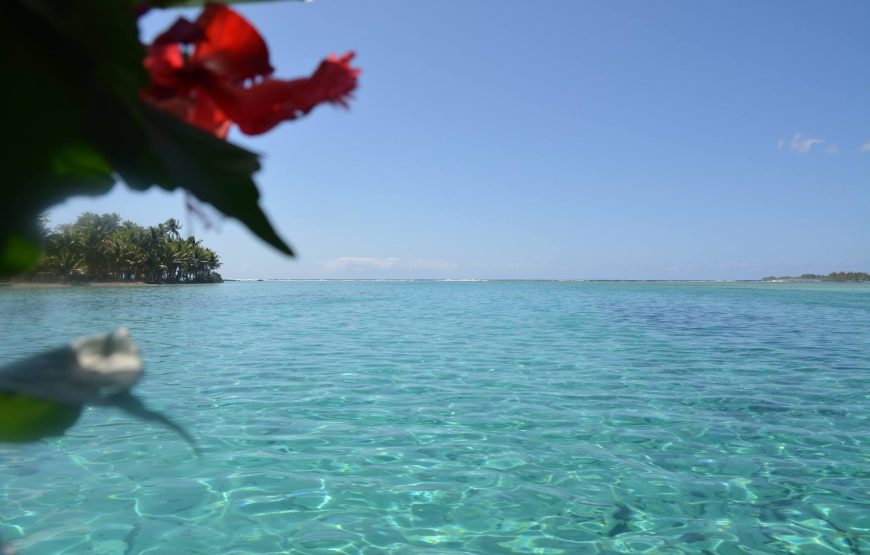 Huahine : Nature Escape 4J/3N