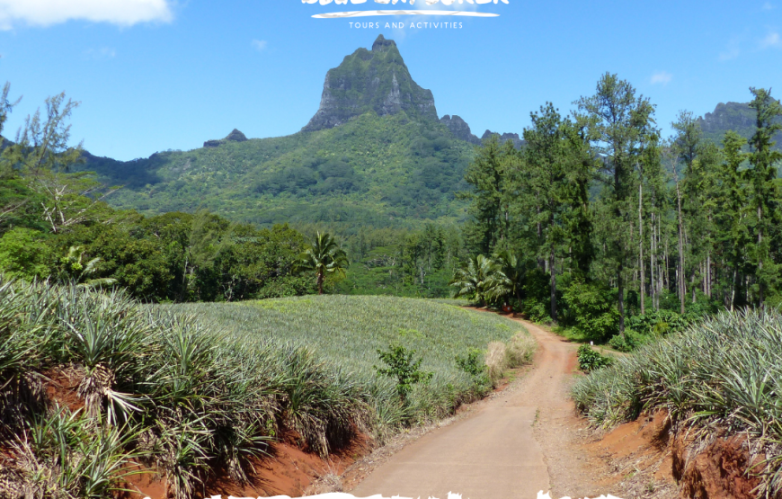 Moorea Full Experience