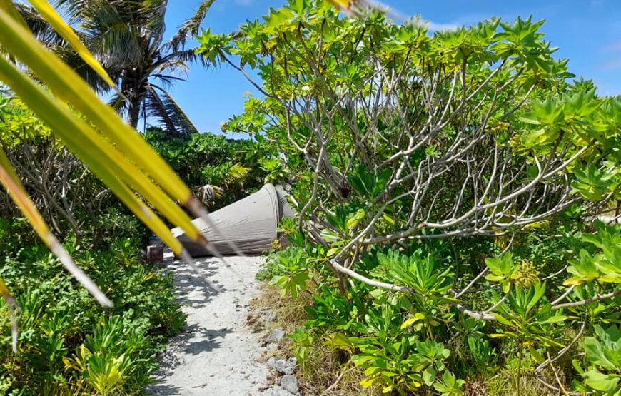 Camping sur motu à Bora Bora