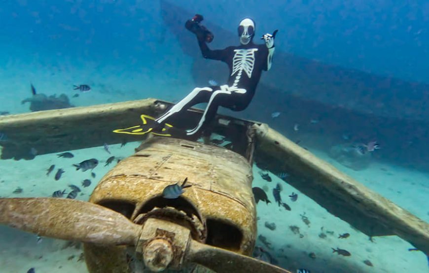 Atae Safari Océan Tahiti