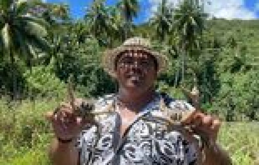 Aro Maohi Tours