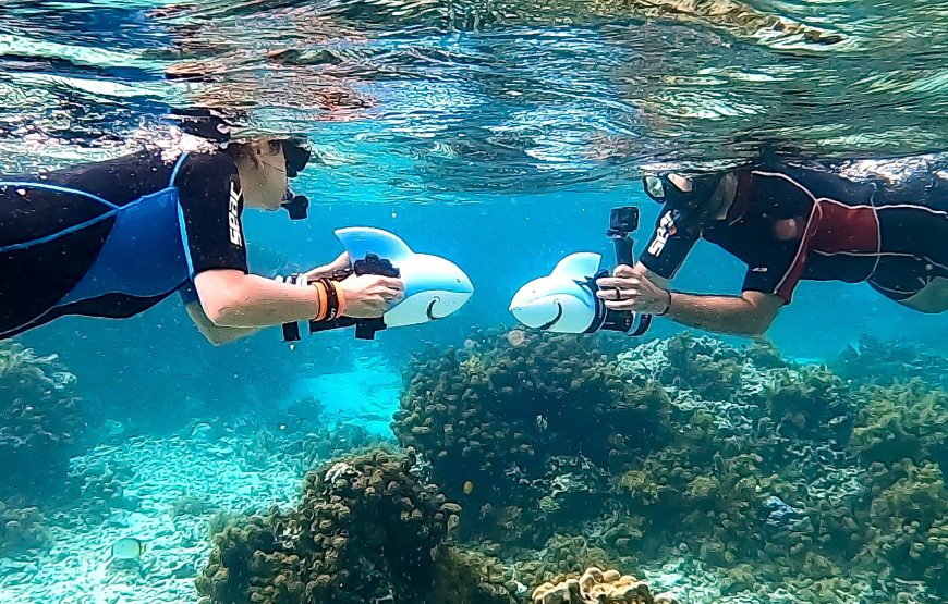 Atae Safari Océan Tahiti