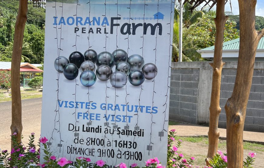 Aro Maohi Tours