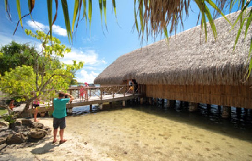 Safari Tour sur l’ile de Huahine