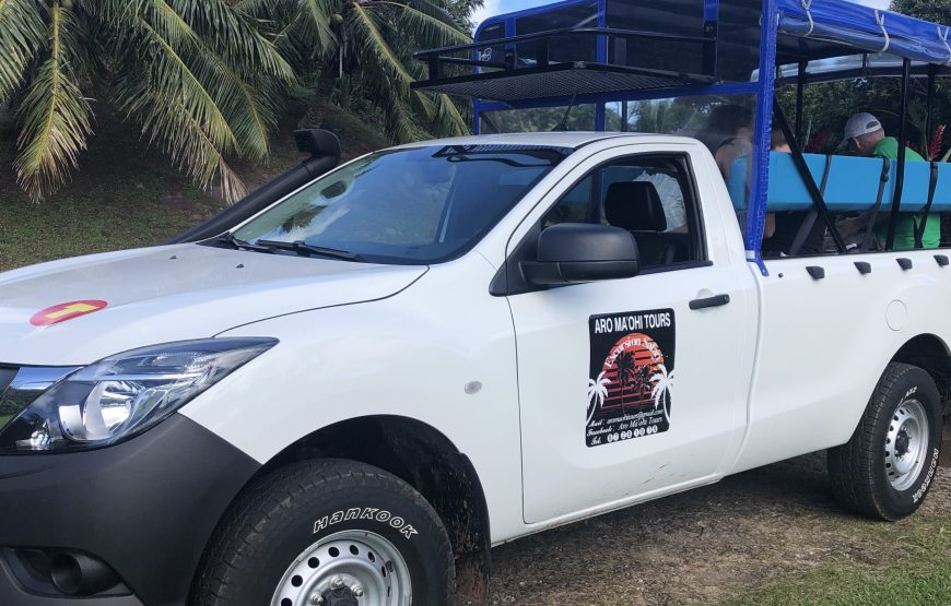 Aro Maohi Tours