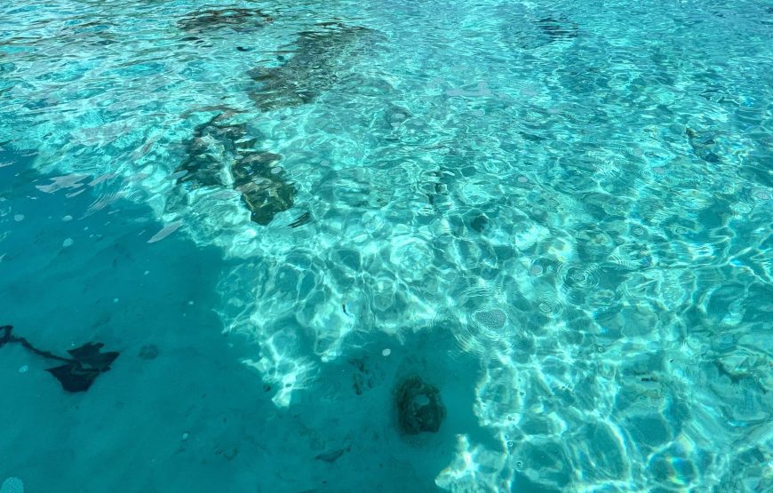 Tour combiné à Tahaa