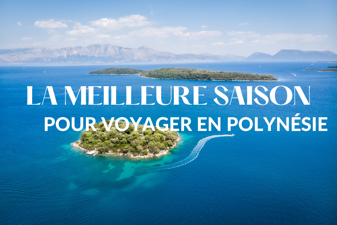 Créateurs d'expériences et d'aventures en Polynésie !